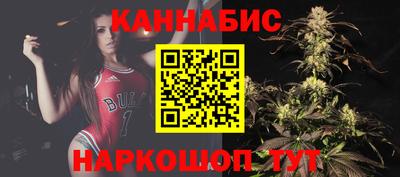 индика Тара